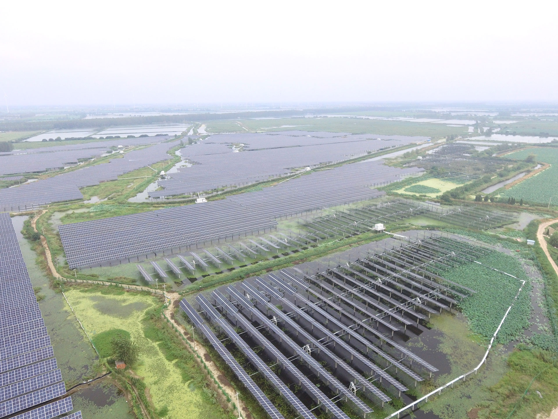 米蘭milan科技江蘇揚州寶應光伏發電應用領跑基地2號100兆瓦項目