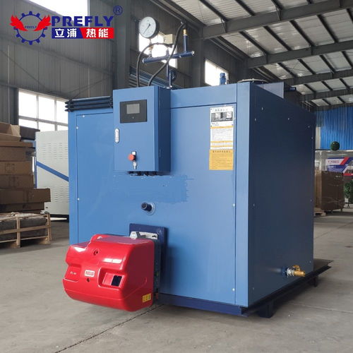 立浦熱能500kg燃氣蒸汽發生器 高效熱能設備助力工業清洗